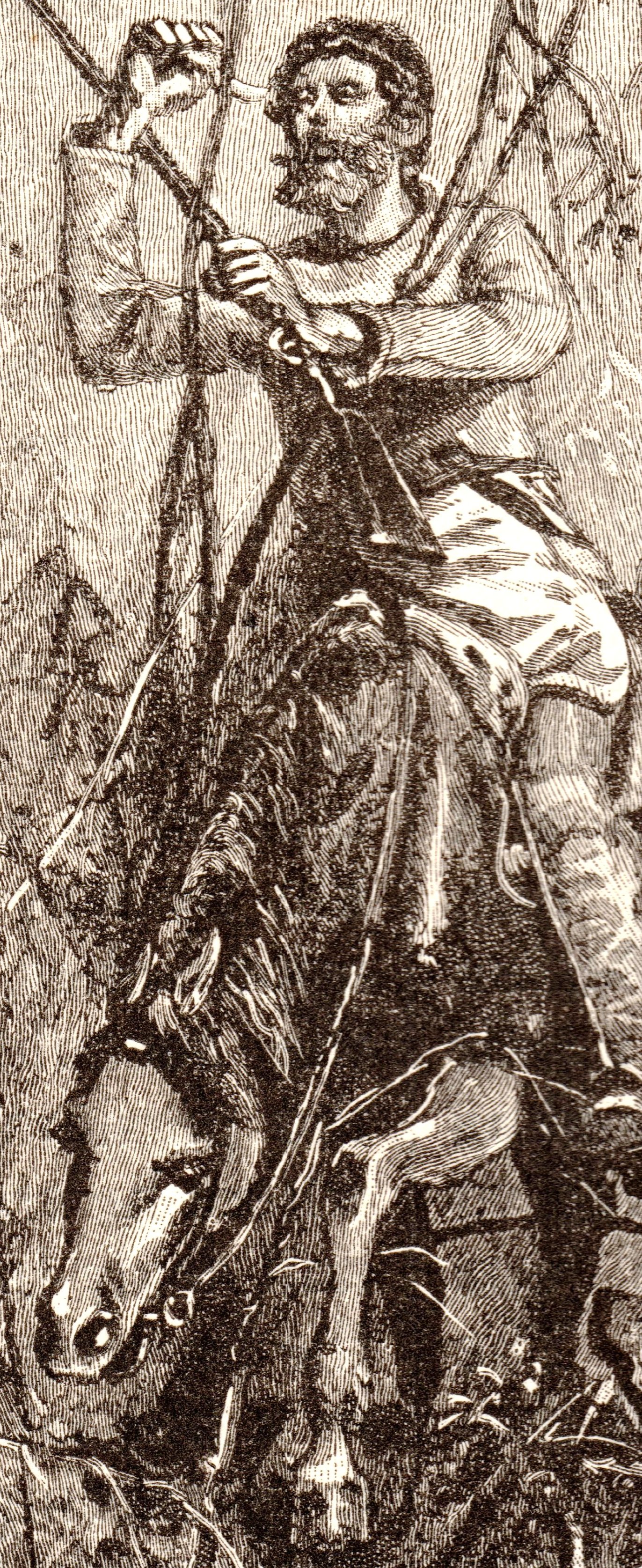 Line Drawing Illustration of Old Asa Edwards the Bear Hunter hacking through cane in Bear Hunting in the South by James Gordon, Scribner's Monthly 1881